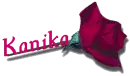 Red Rose - Kanika