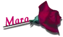 Red Rose - Mara