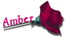 Red Rose - Amber