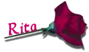 Red Rose - Rita