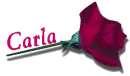 Red Rose - Carla