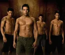 New Moon Wolf Pack