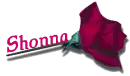 Red Rose - Shonna