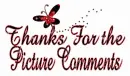 Picture comments