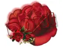 red rose --- Roni