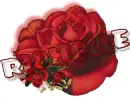 RED ROSE -- RICHELLE