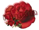 red rose -- Migdalia