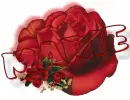 red rose -- Marie