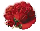 red rose -- Lyn