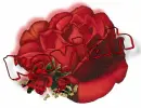 red rose - Kaylah