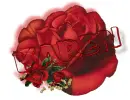 red rose -- Karen