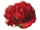 red rose -- Ann