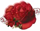 red rose -- Anjielyn