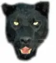 Panting panther