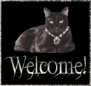 cat welcome