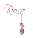 Pink Shoe - Rose