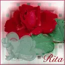 Red Rose - Rita