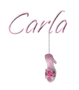 Pink Shoe - Carla