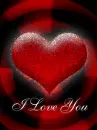 i love you