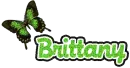Brittany Butterfly