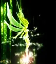 fairy