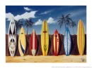 Surf Boards