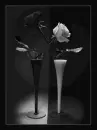 Two