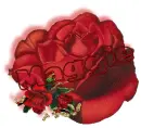 red rose -- Maggie 
