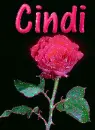 Cindi
