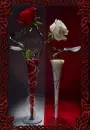 valentine vase love
