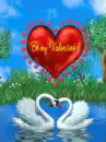 be my valentine swans