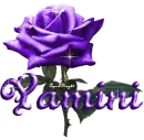 purple rose yamini