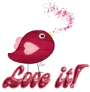 bird