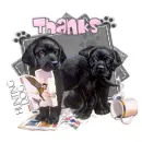 Thanks