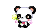 kawaii panda