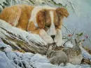 cute puppy with bunnies in snow