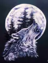 wolf howling