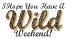 I Hope you have a Wild Weeekend