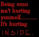 Definition: Emo