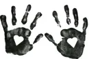 hands,