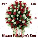 happy valentine's day