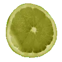 lime slice