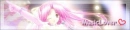 anime musiclover:)