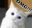Omg!