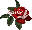 Butterfly Red Rose - Annie