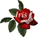 Butterfly Red Rose - Iris