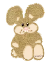 sandra
