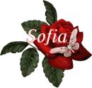 Butterfly Red Rose - Sofia