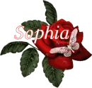Butterfly Red Rose - Sophia