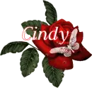 Butterfly Red Rose - Cindy